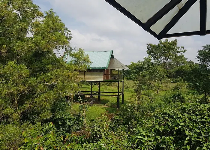 Family Hotel: Nice Place Resort